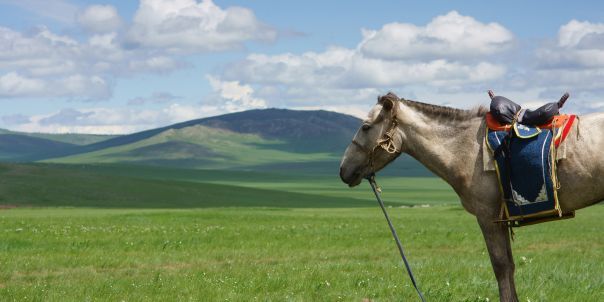 Mongolie