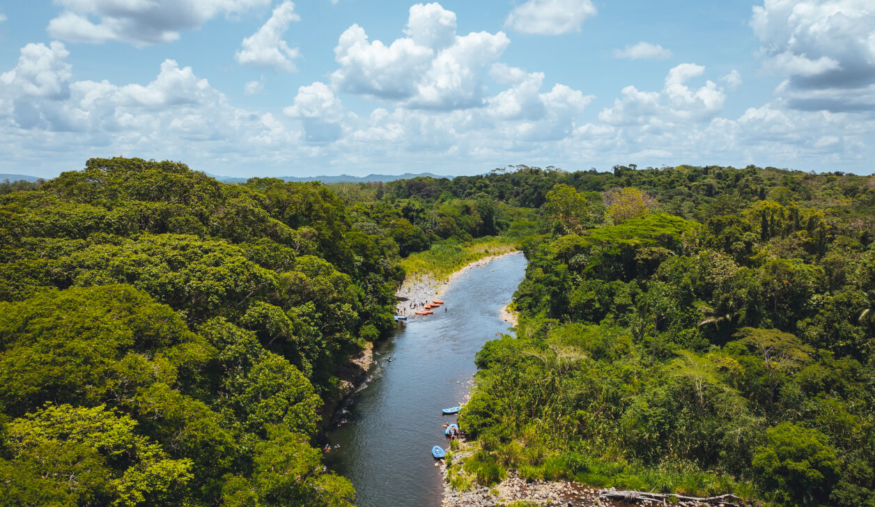 Paysage d'une rivière qui coupe en deux une forêt avec des voyageurs en canoë