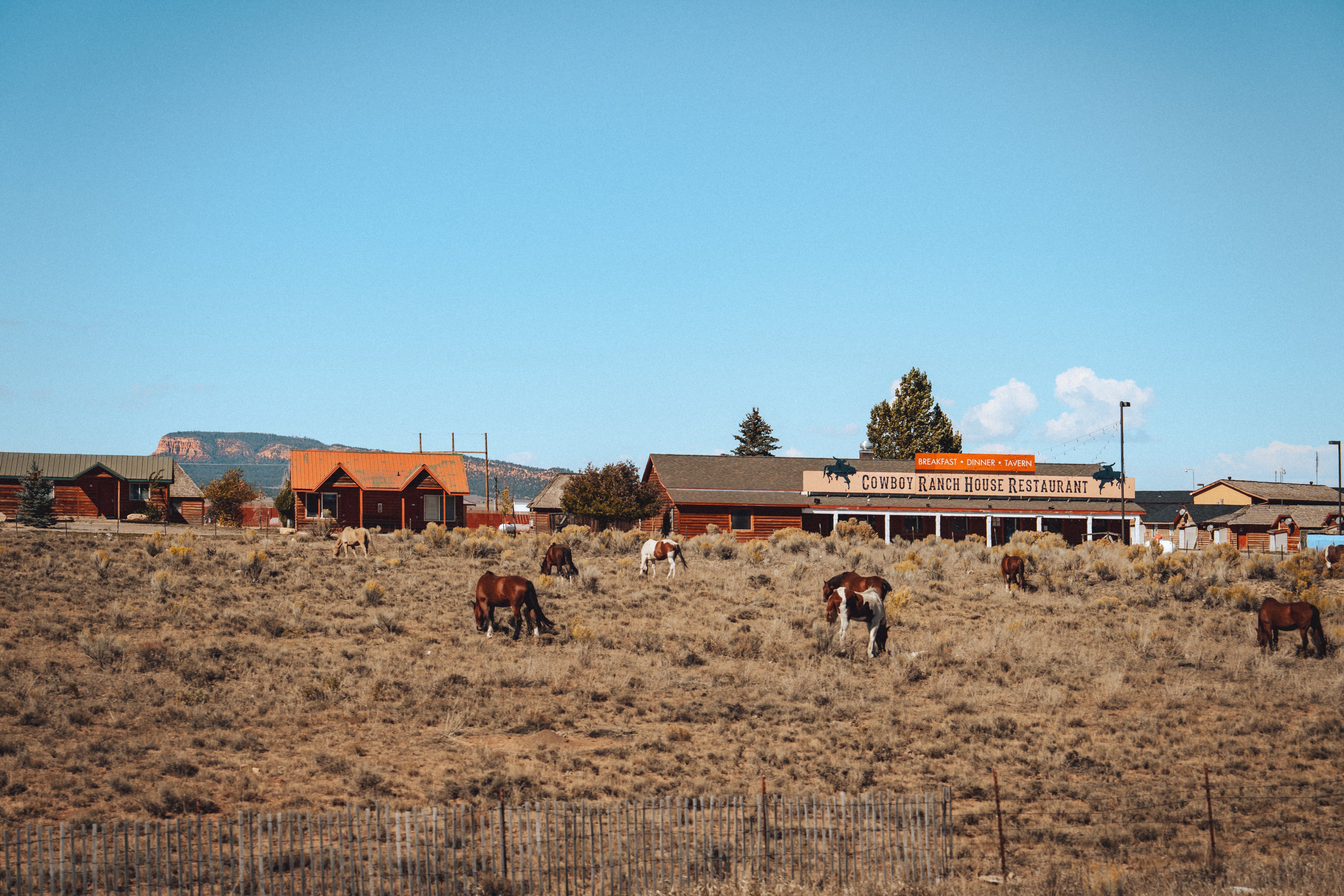 Zion National Park - Las Vegas