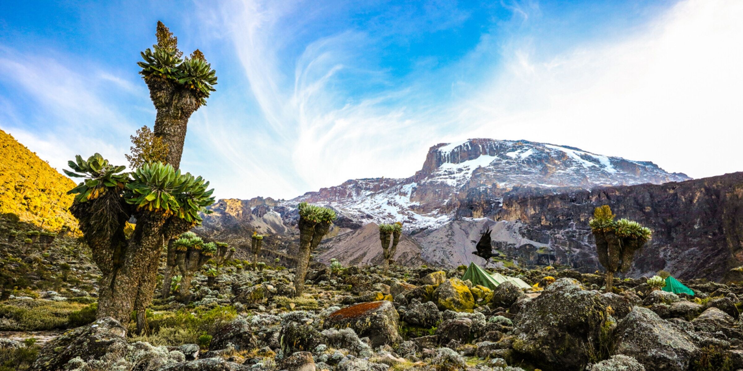 Shira Camp (3. 800 m) – Barranco Camp (3. 950 m)