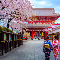 A la découverte des quartiers de Tokyo