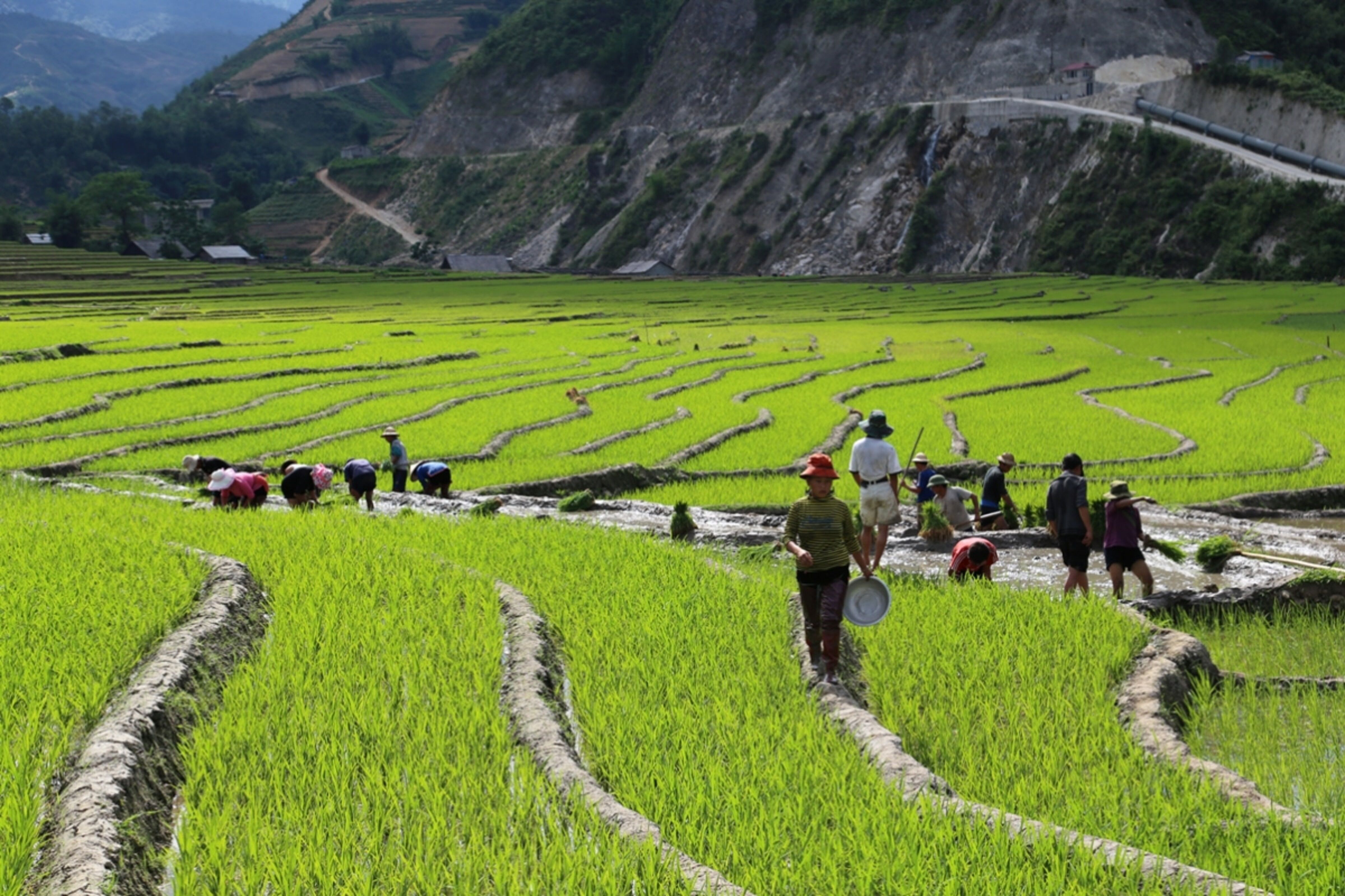 Trek dans la région de Pu Long 