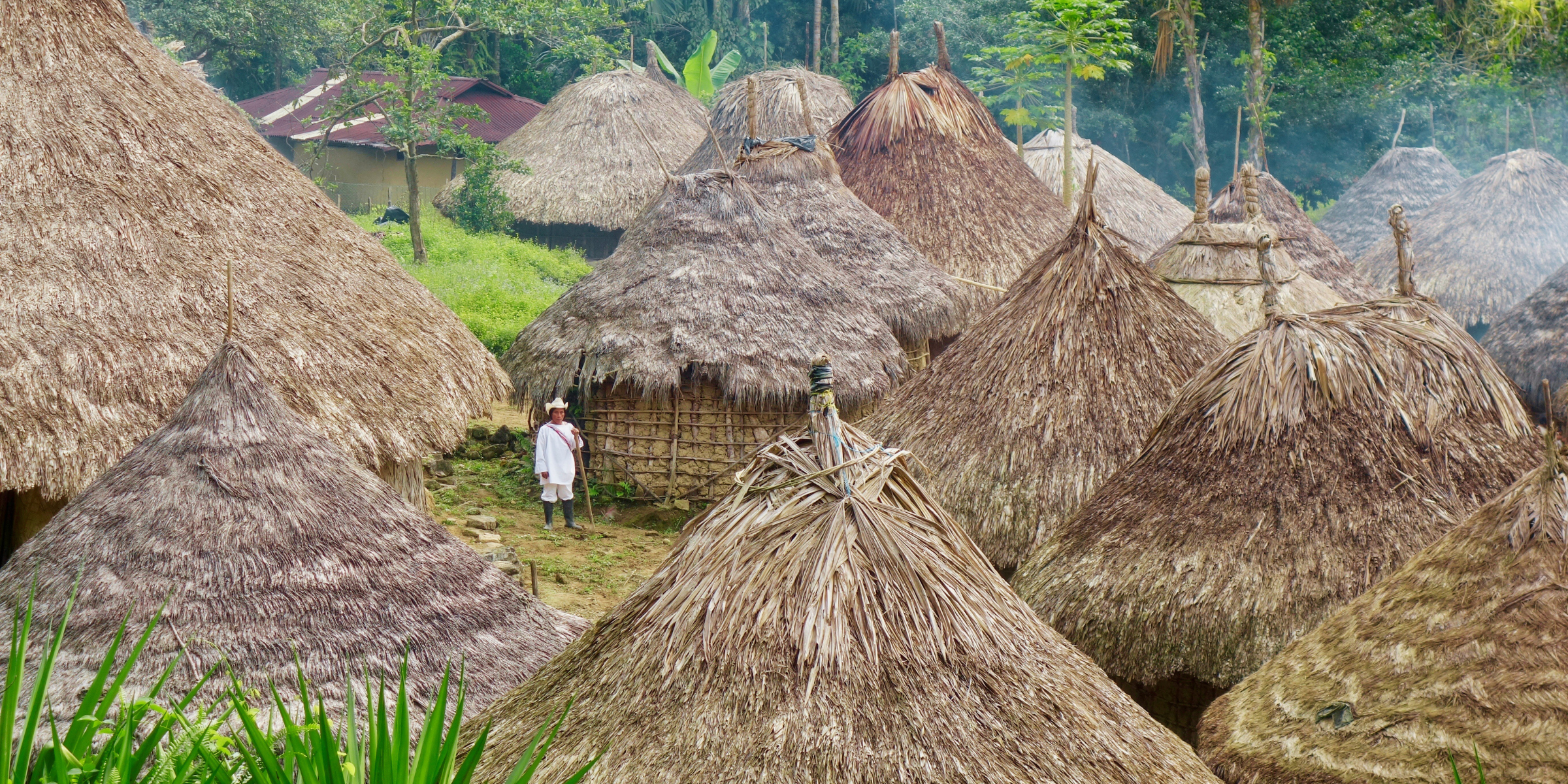Mamey : trek vers la Cité Perdue 