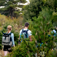 Randonnée dans le parc national de Llogara