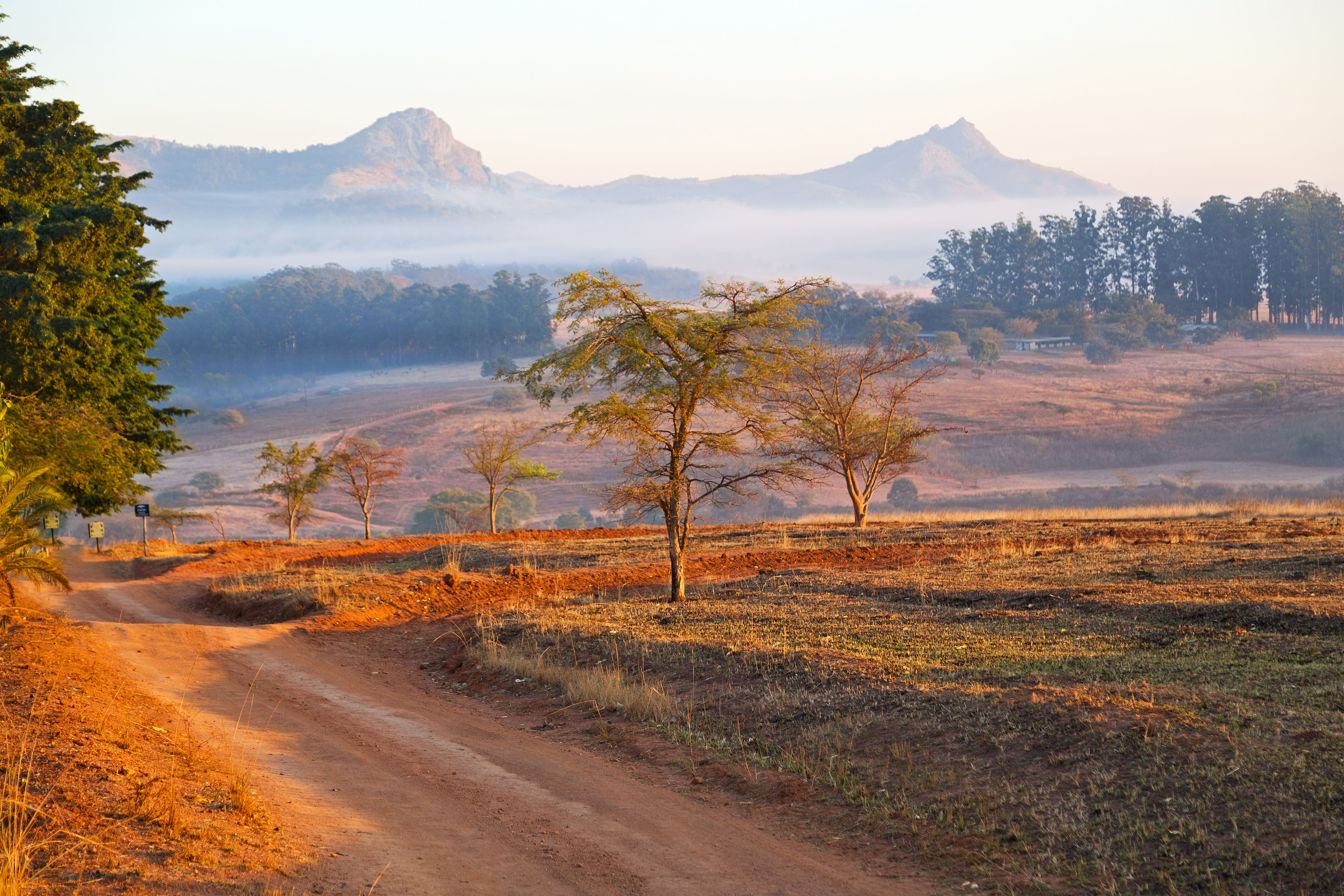 Du Parc Kruger au Swaziland