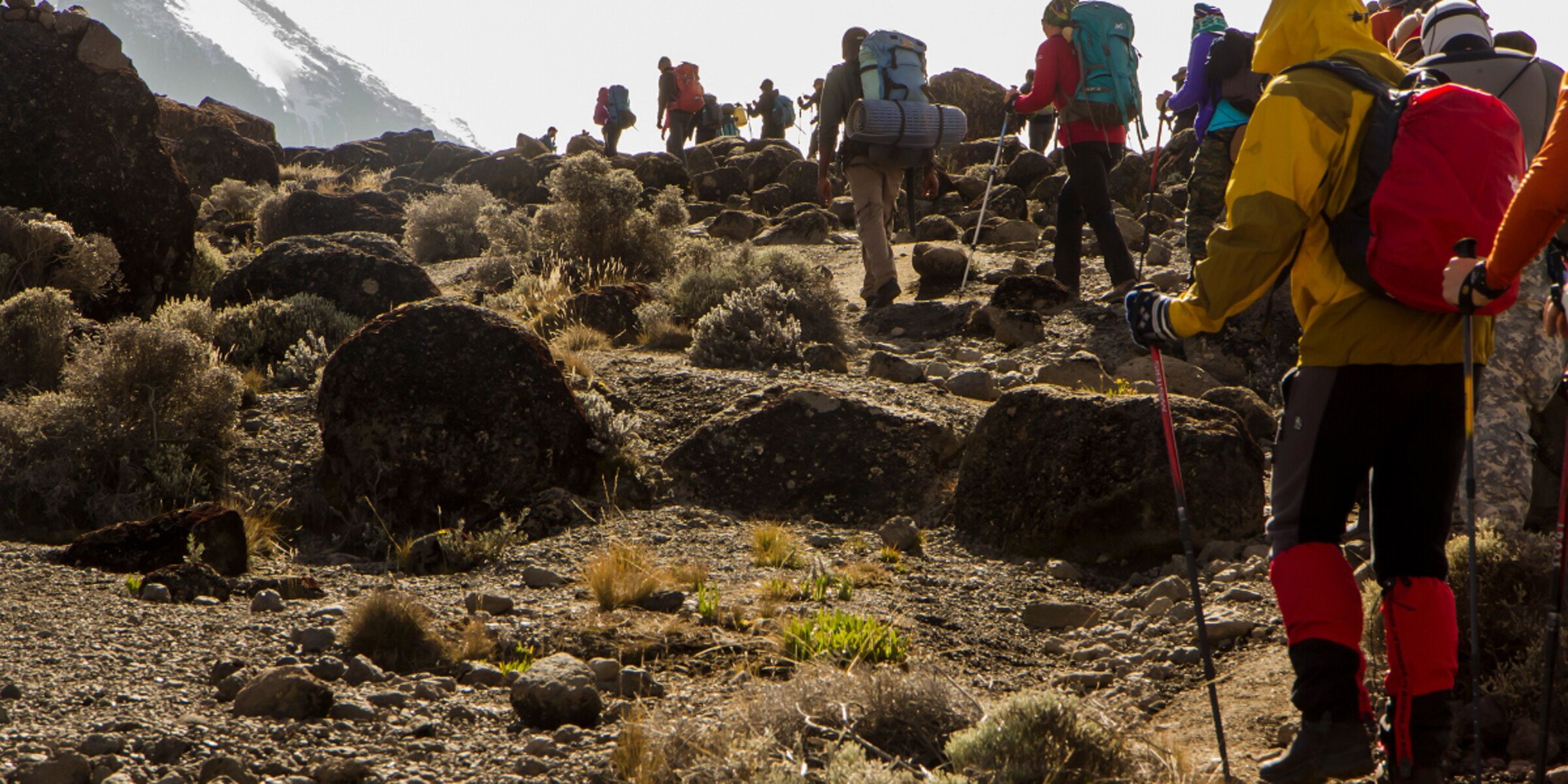Barranco Camp (3. 950 m) – Karanga Valley Camp (3. 995 m) – Journée d’acclimatation