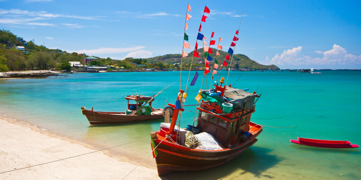 Koh Tao en liberté !