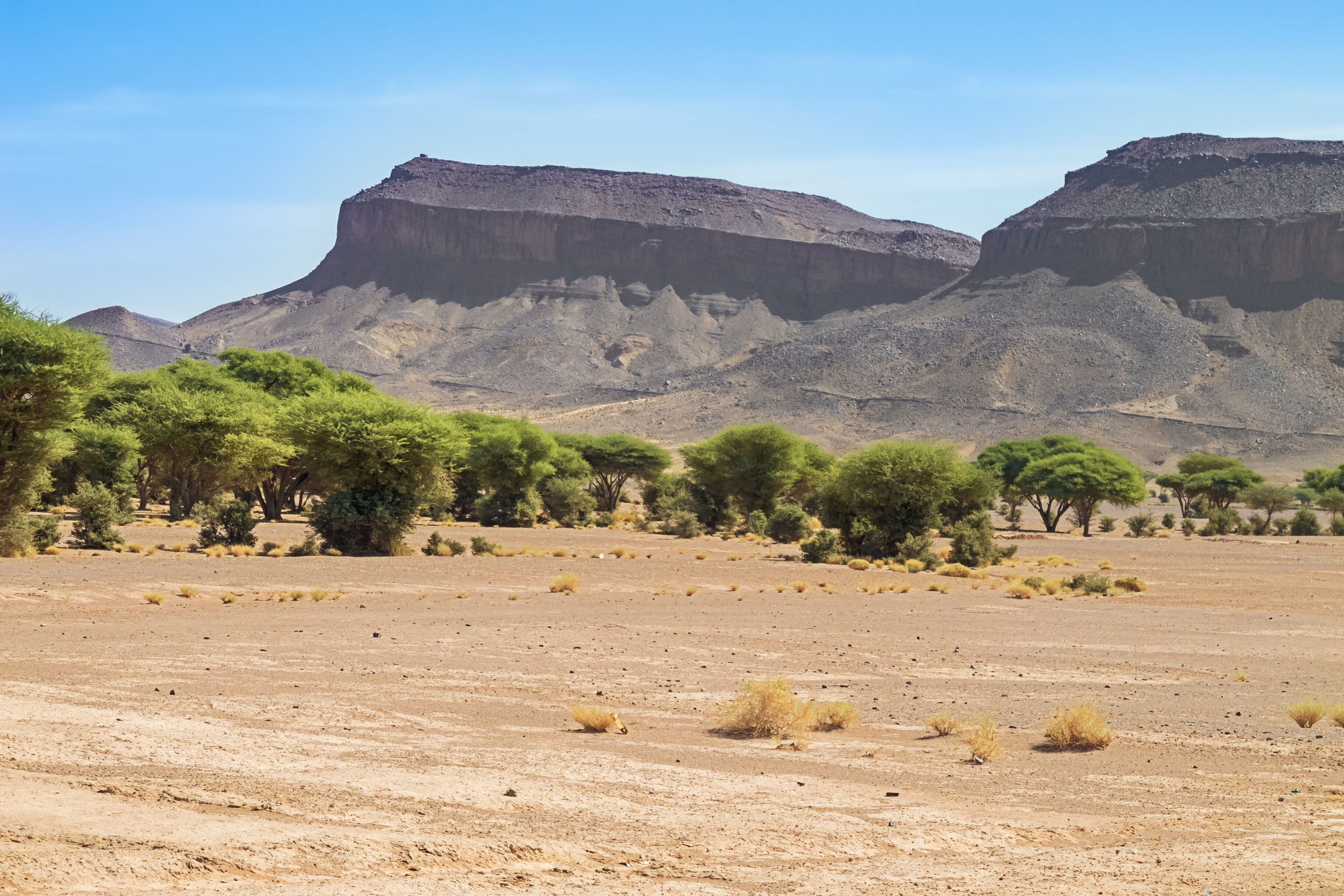 Djebel Serdrar - Tazzarine