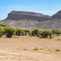 Djebel Serdrar - Tazzarine