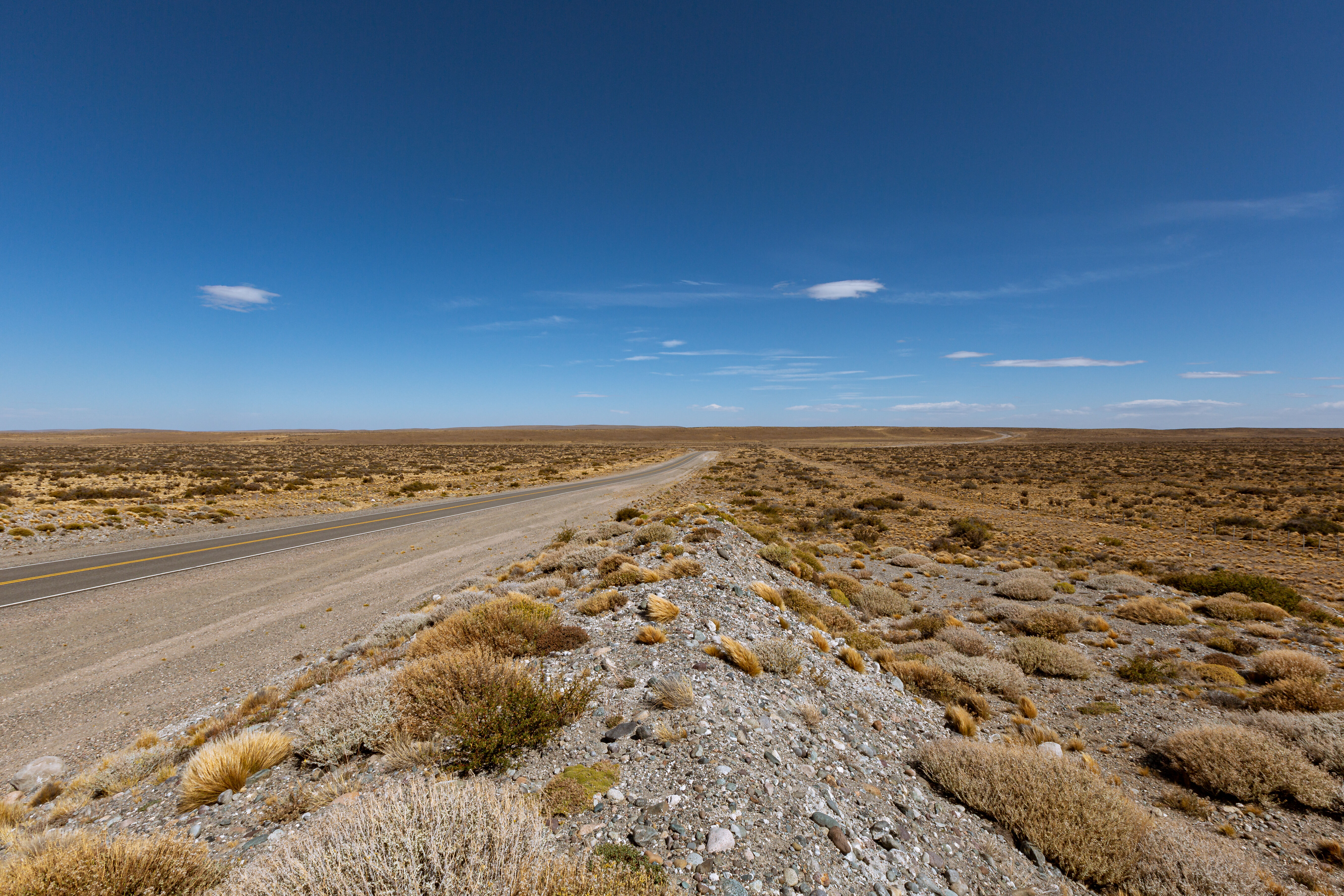 Puerto Natales - El Calafate 