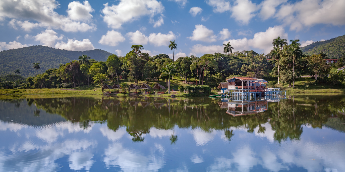 Palma Rubia - Las Terrazas 
