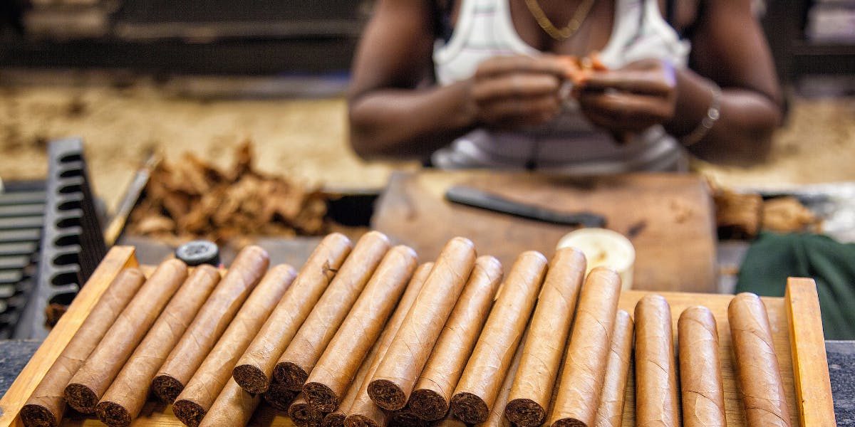 Viñales - cigares et vélo