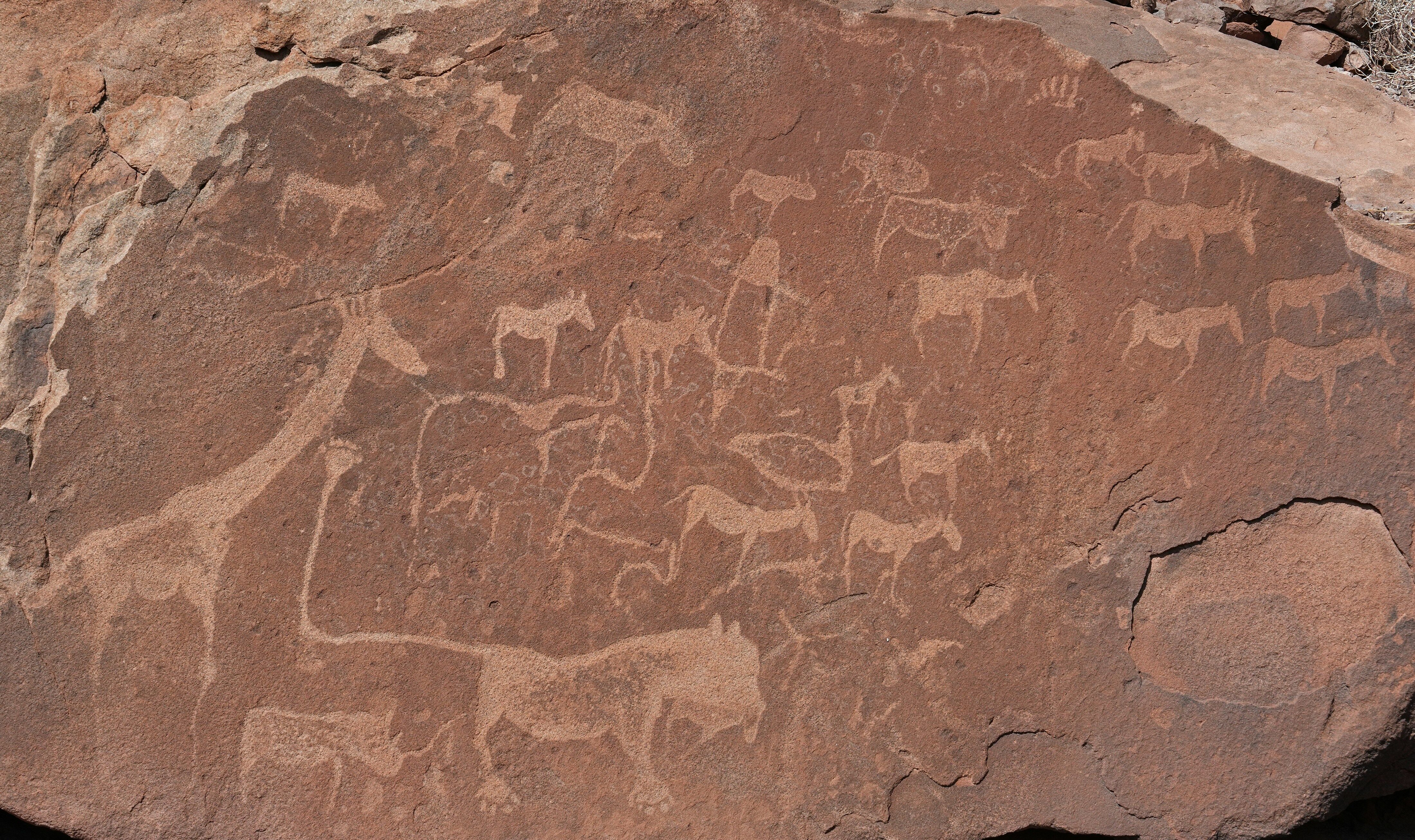 Parc National d’Etosha - Twyfelfontein 