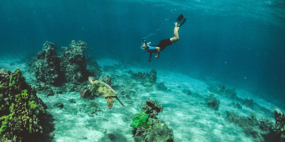 Laguna - Maya Velli (Ari atoll Nord) 