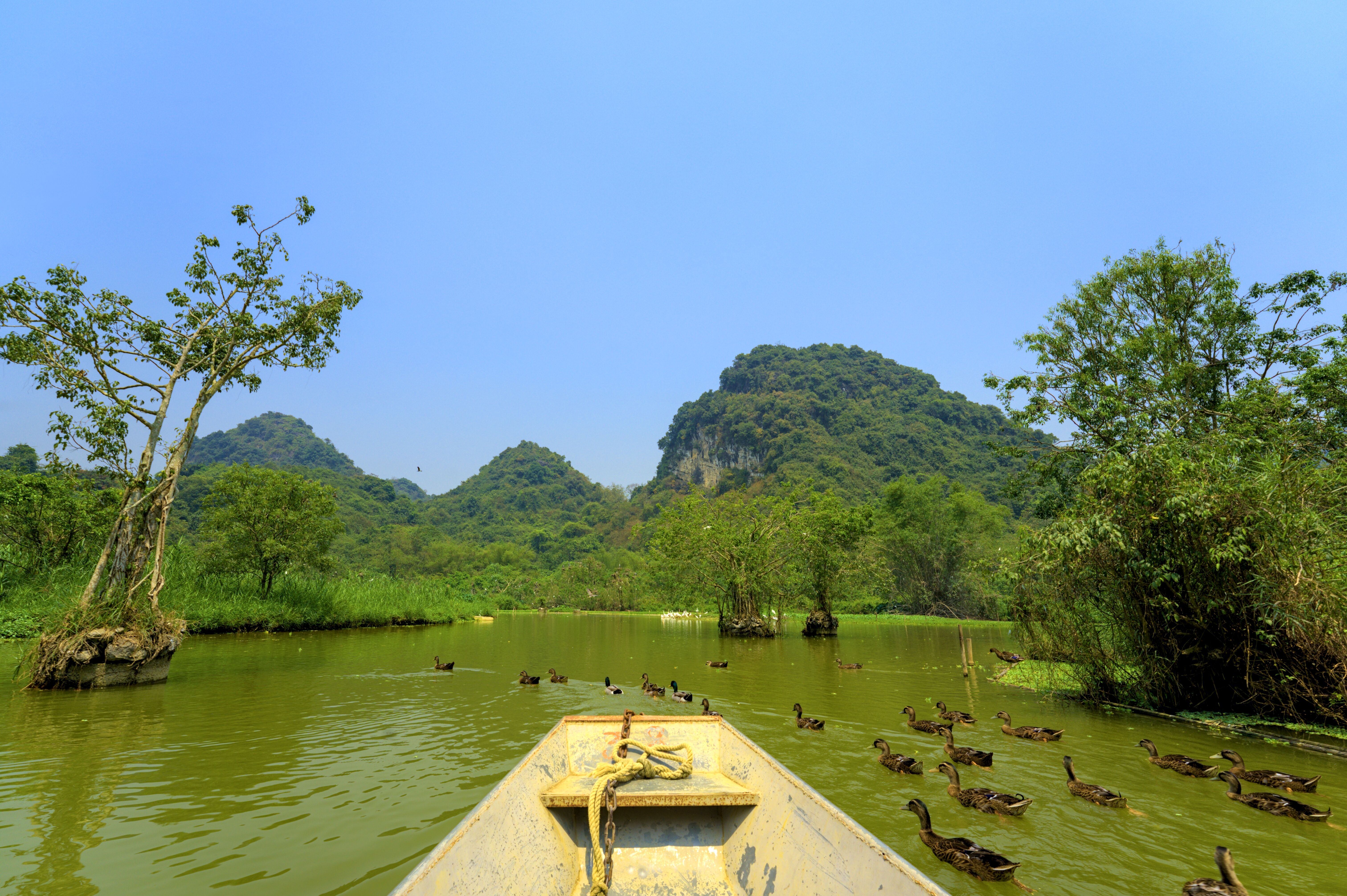 Tam Coc – Phat Diem - Tam Coc 