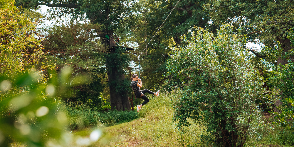 Accrobaobab et safari dans la réserve de Bandia 