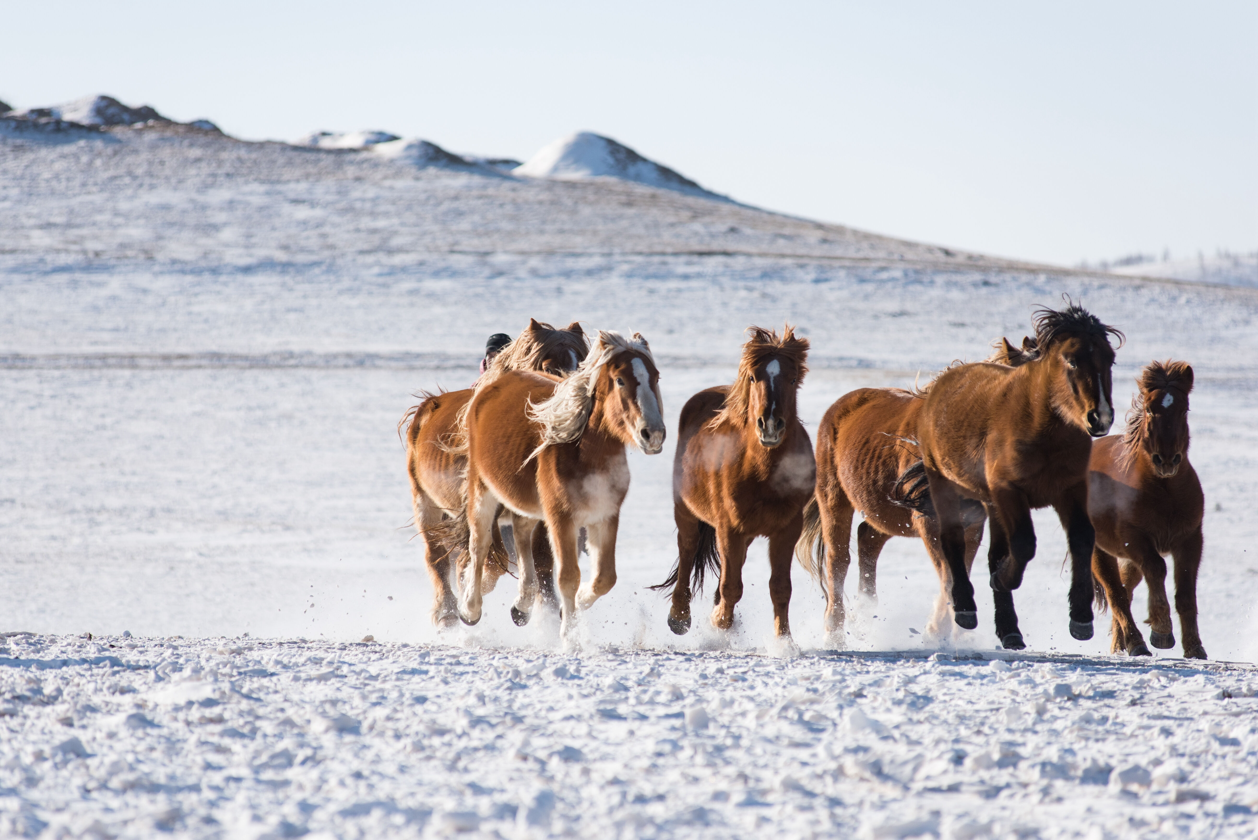 La randonnée à cheval dans la Vallée d’Orkhon