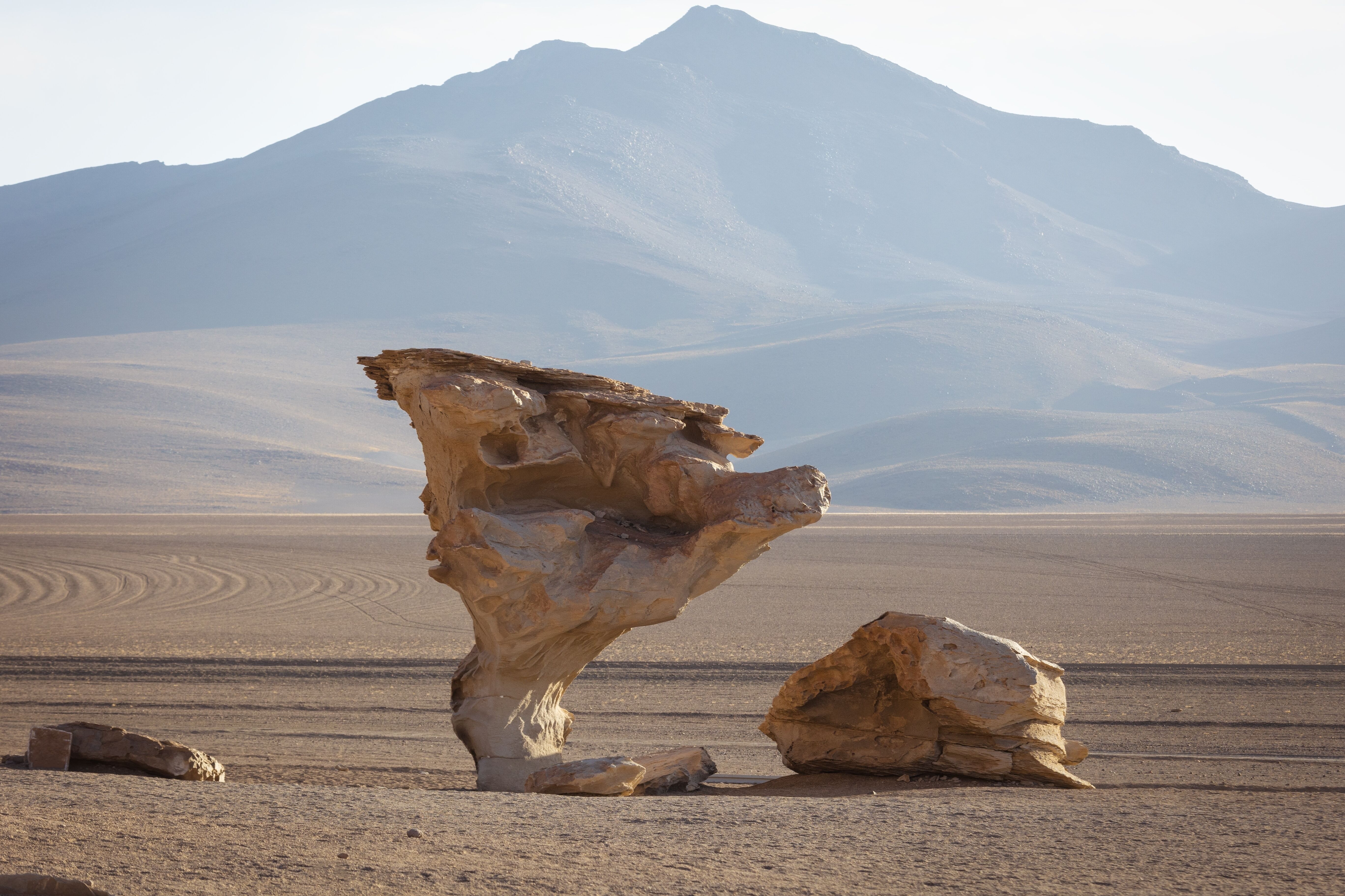 Désert de Siloli - Arbol de Piedra - Uyuni 