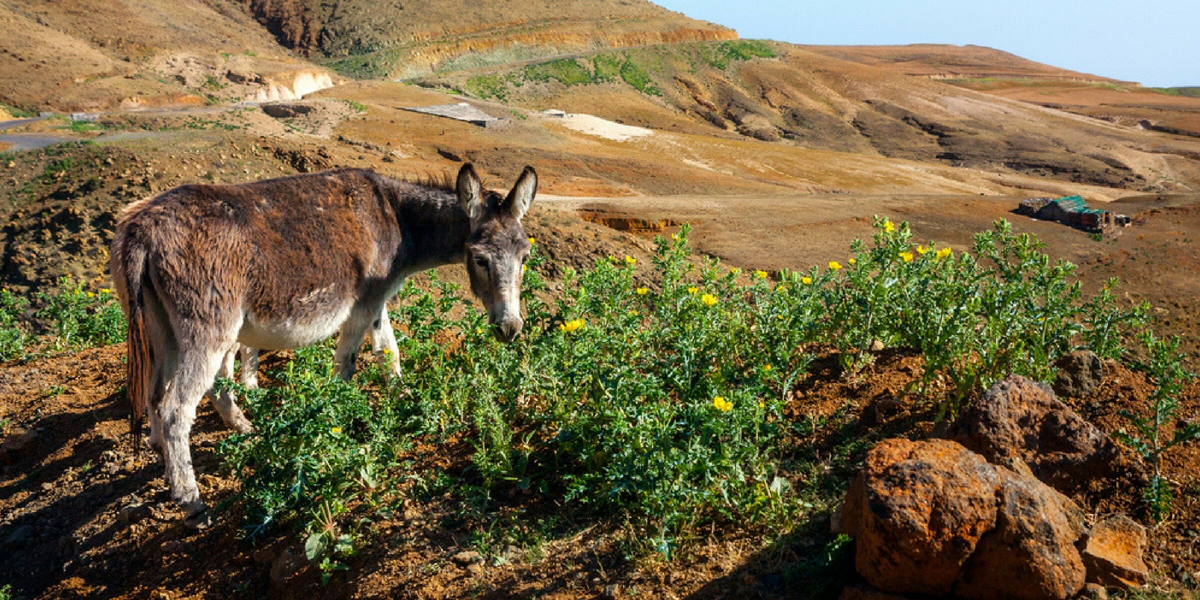 Arrivée au Cap Vert (Attention les vols peuvent partir la veille) 