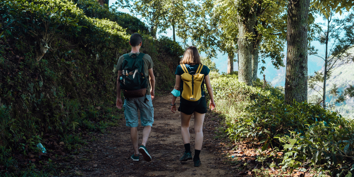 Rando au Little Adam's Peak 