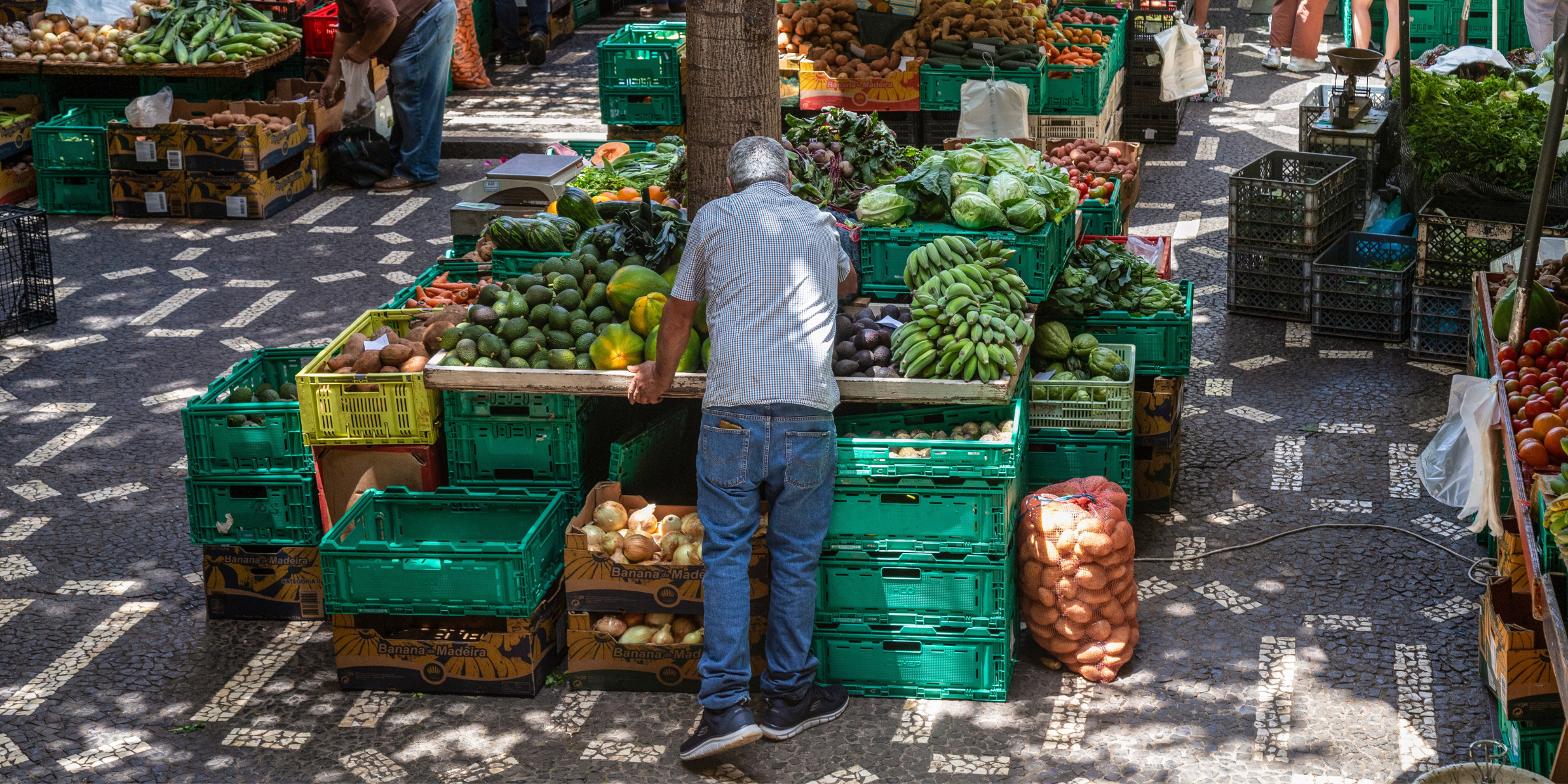 Funchal : journée libre 