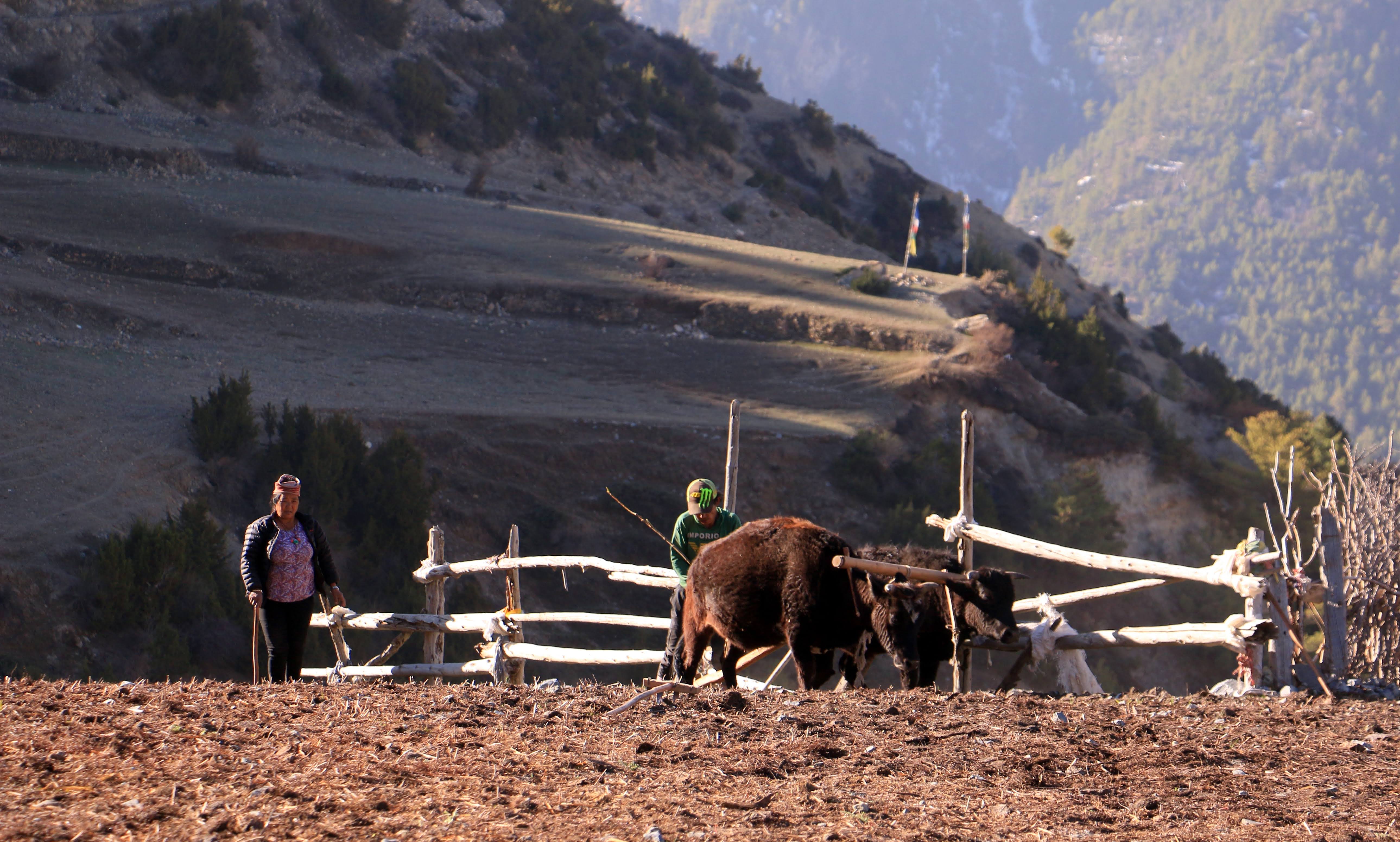Manang – Yak Kharka (4220m)