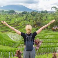 Belimbing - Ubud