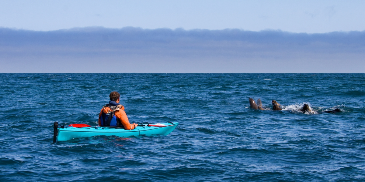 Archipel de Stockholm en kayak