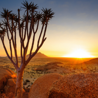 Arrivée en Namibie (Attention les vols peuvent partir la veille)