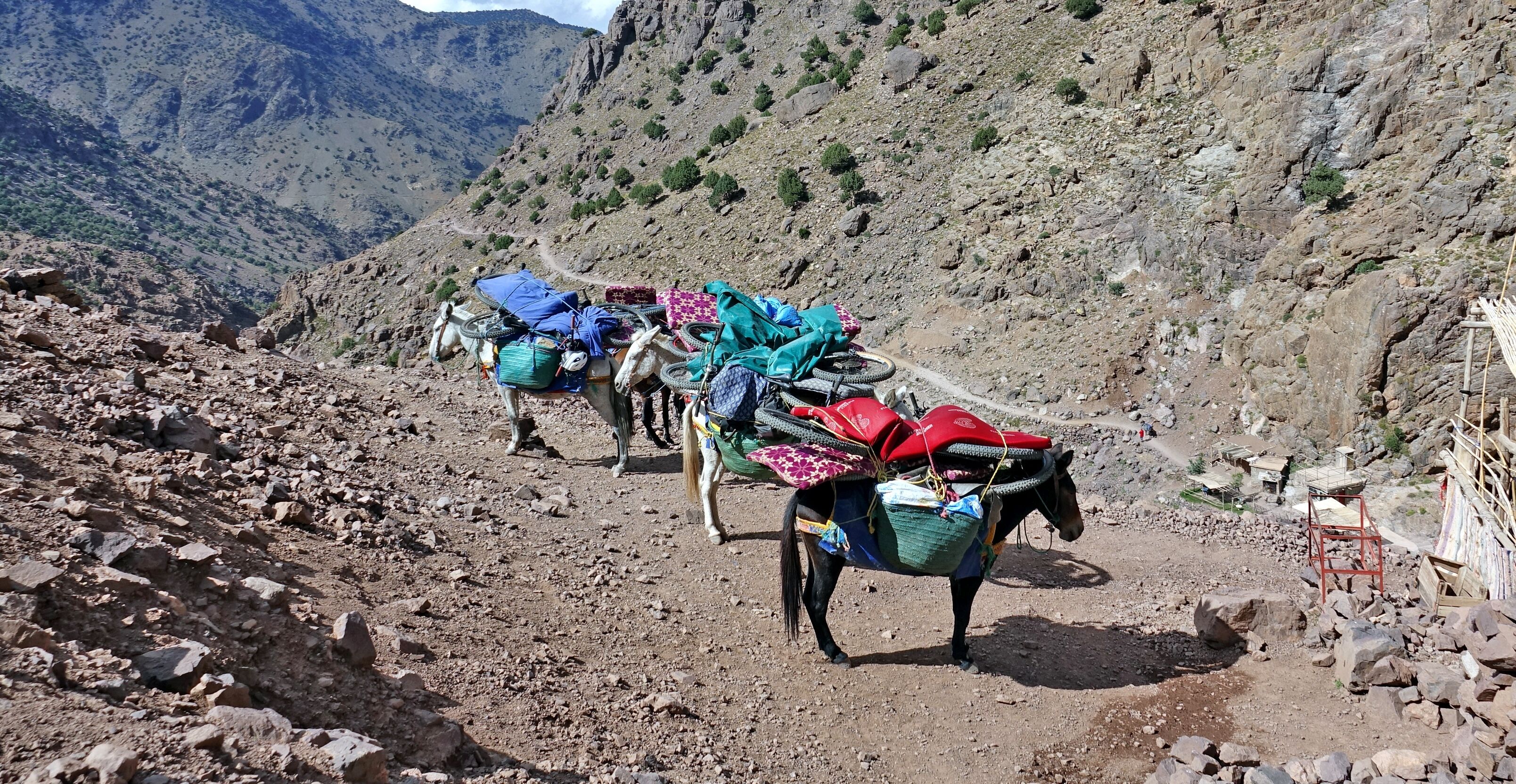 Refuge de Tazaghart - Tizi Aguelzim (3550m) - Refuge Neltner (3207m) 