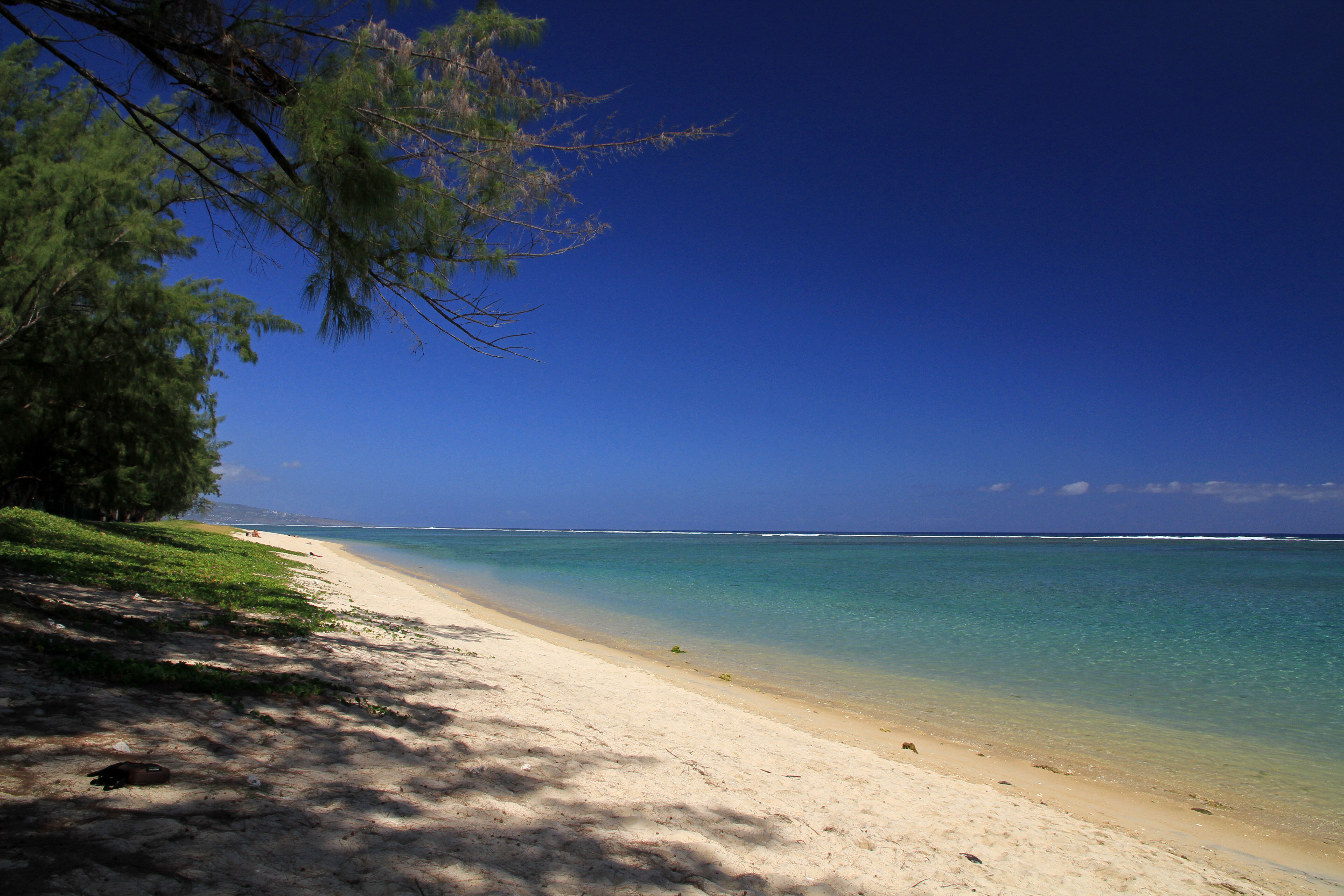 Bienvenue à la Réunion ! 