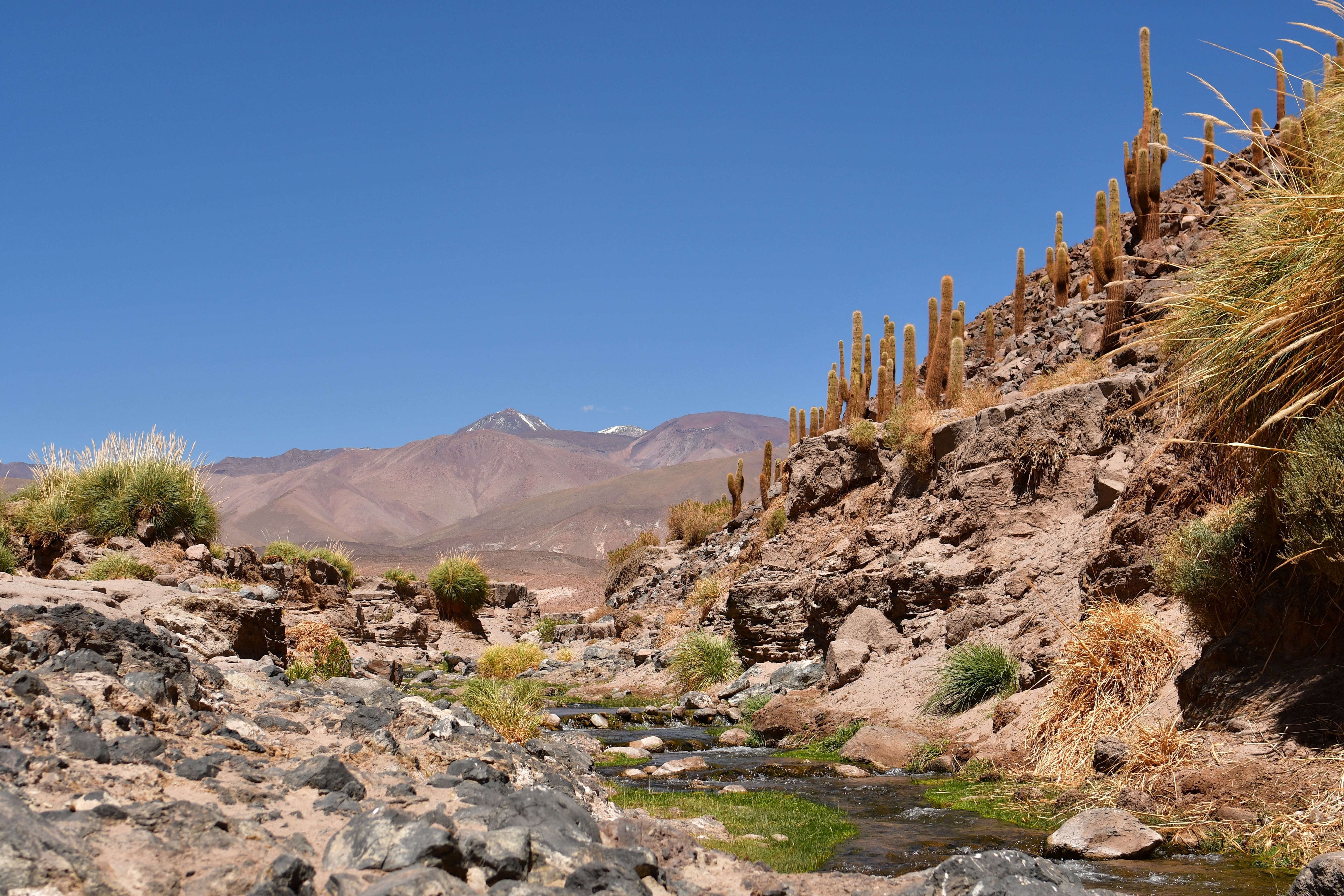 San Pedro de Atacama : randonnée et visites 