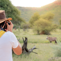 Safari dans le parc Tarangire
