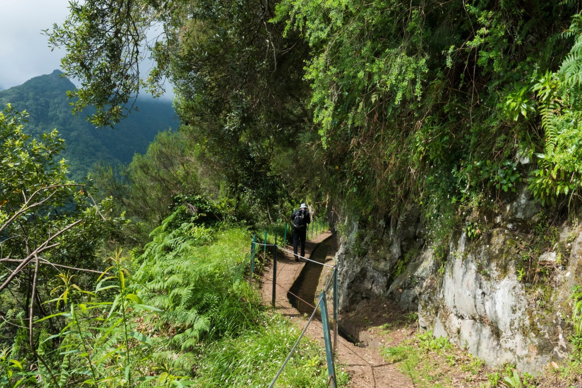 Funchal : randonnée à Levada do Rei 