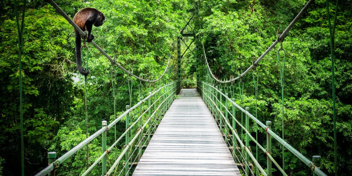 Arenal, on prend de la hauteur !