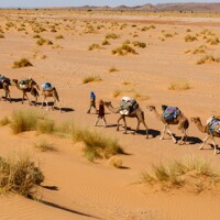 Les dunes de Saredrar