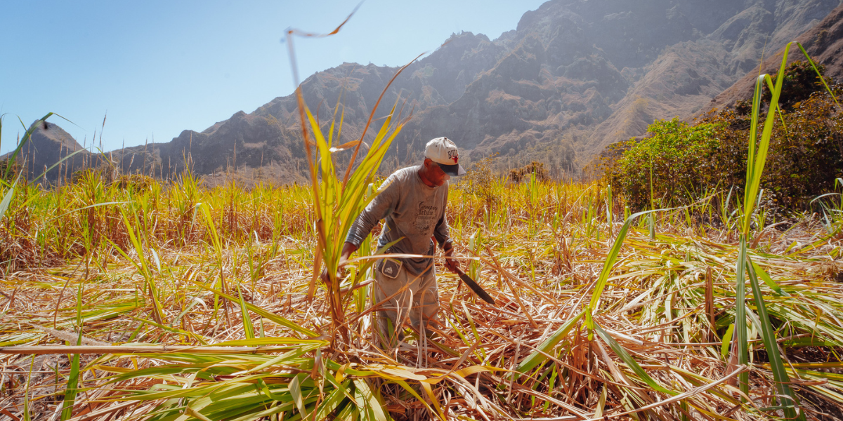 Randonnée dans la vallée de Ribeira Grande