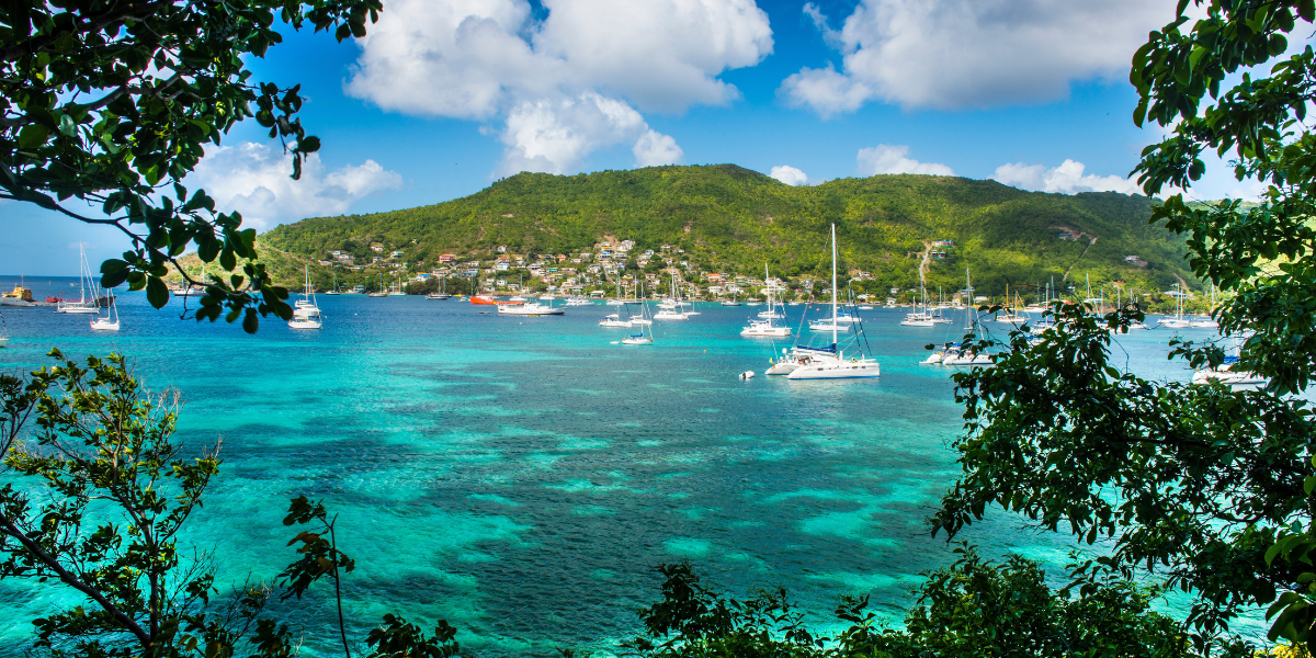 Port Elizabeth : premiers pas aux Grenadines