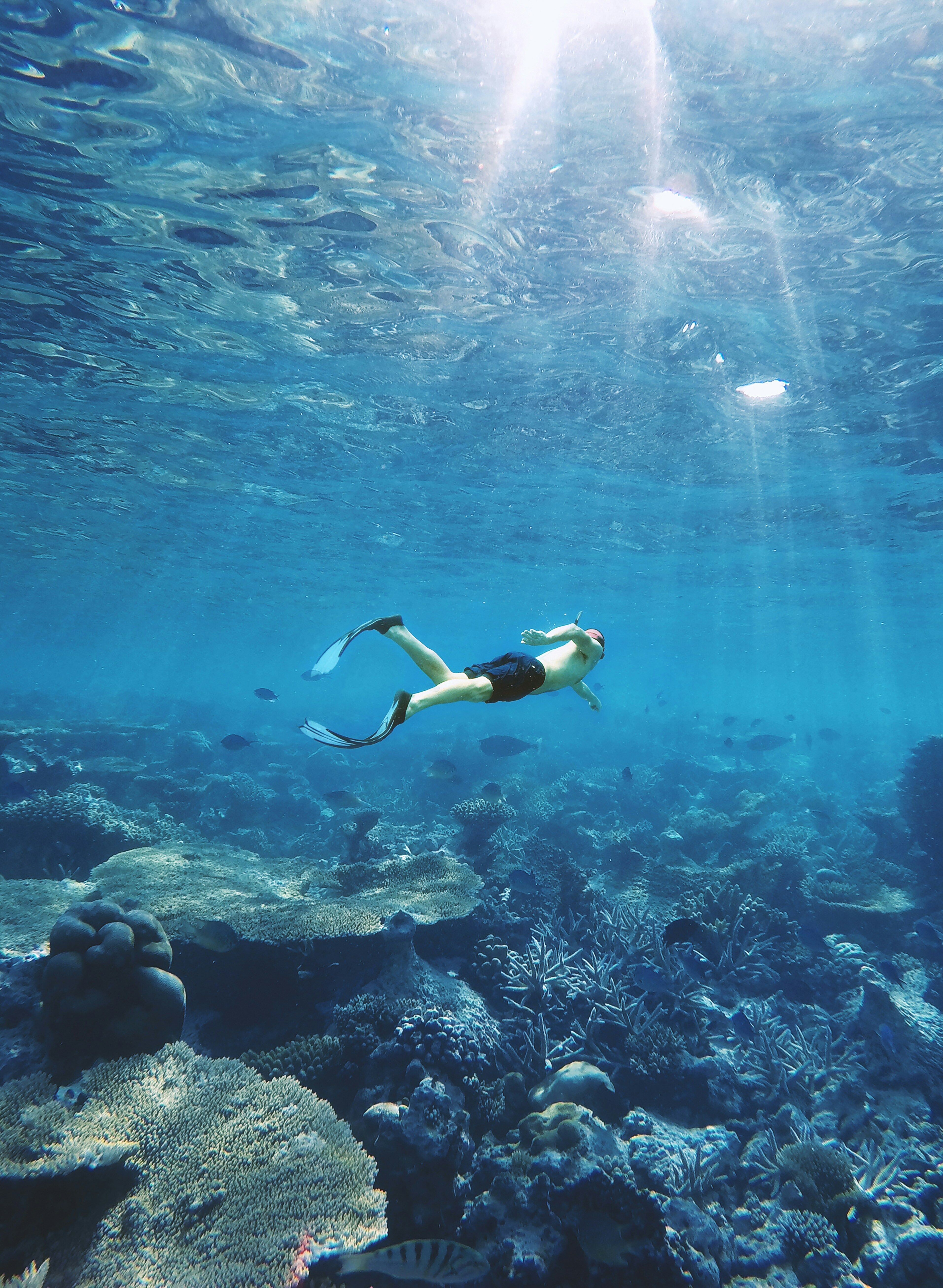 Amed : sortie en mer 