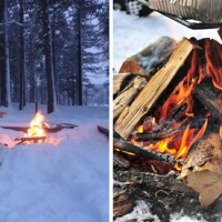 Journée trappeur en forêt