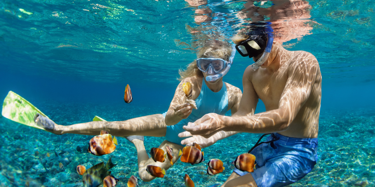 Sous l’eau, la magie de Menjangan