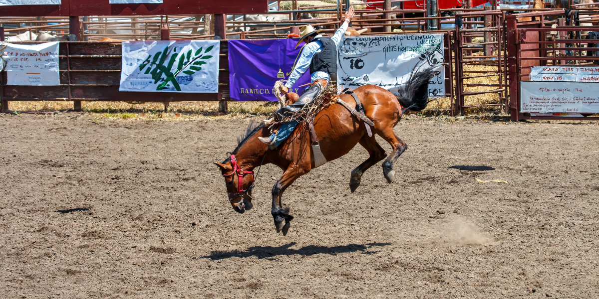 Rodéo à Fort Worth !