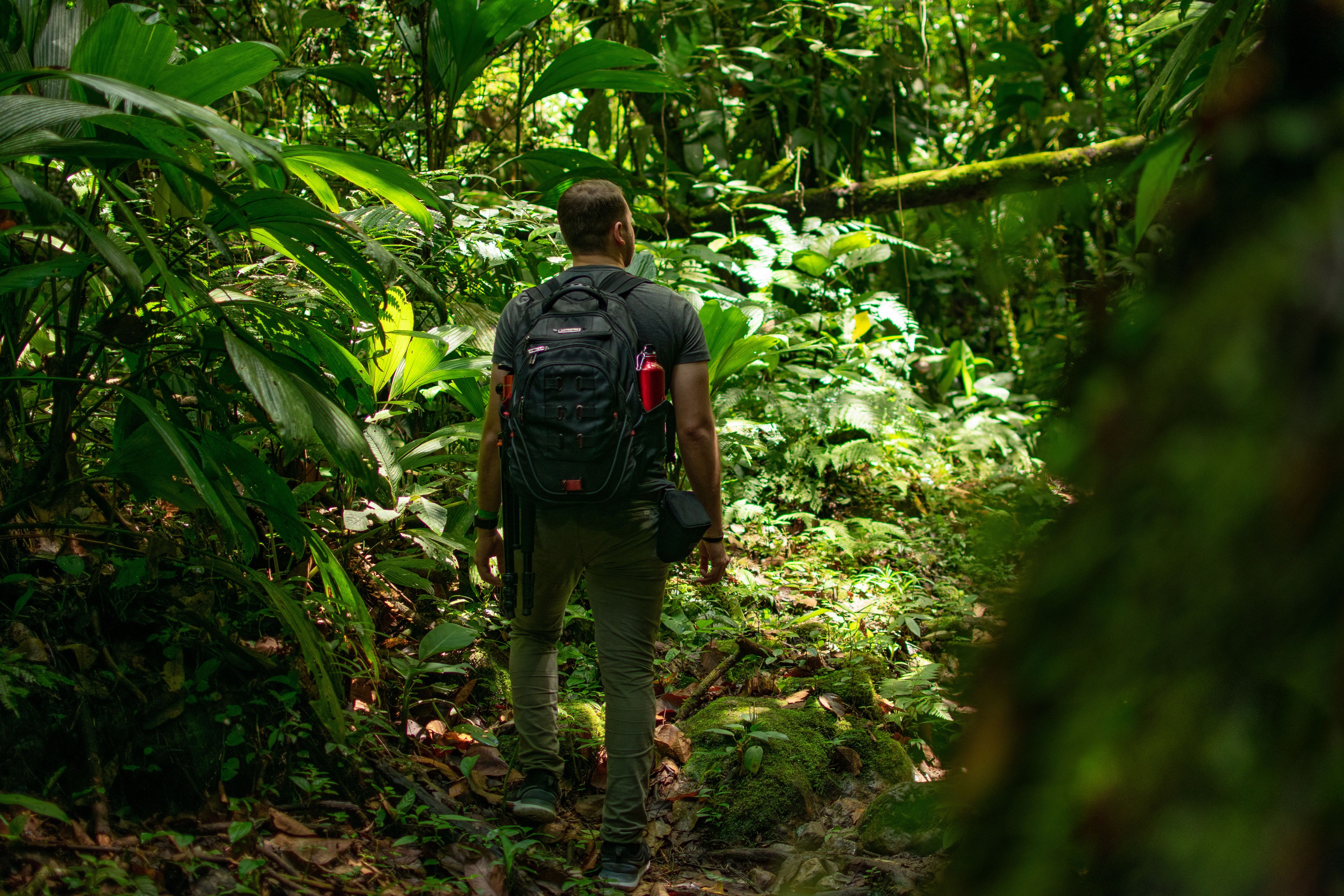 Cité Perdue - Zone Tayrona 