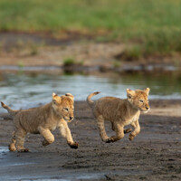 Bye bye Tanzanie !