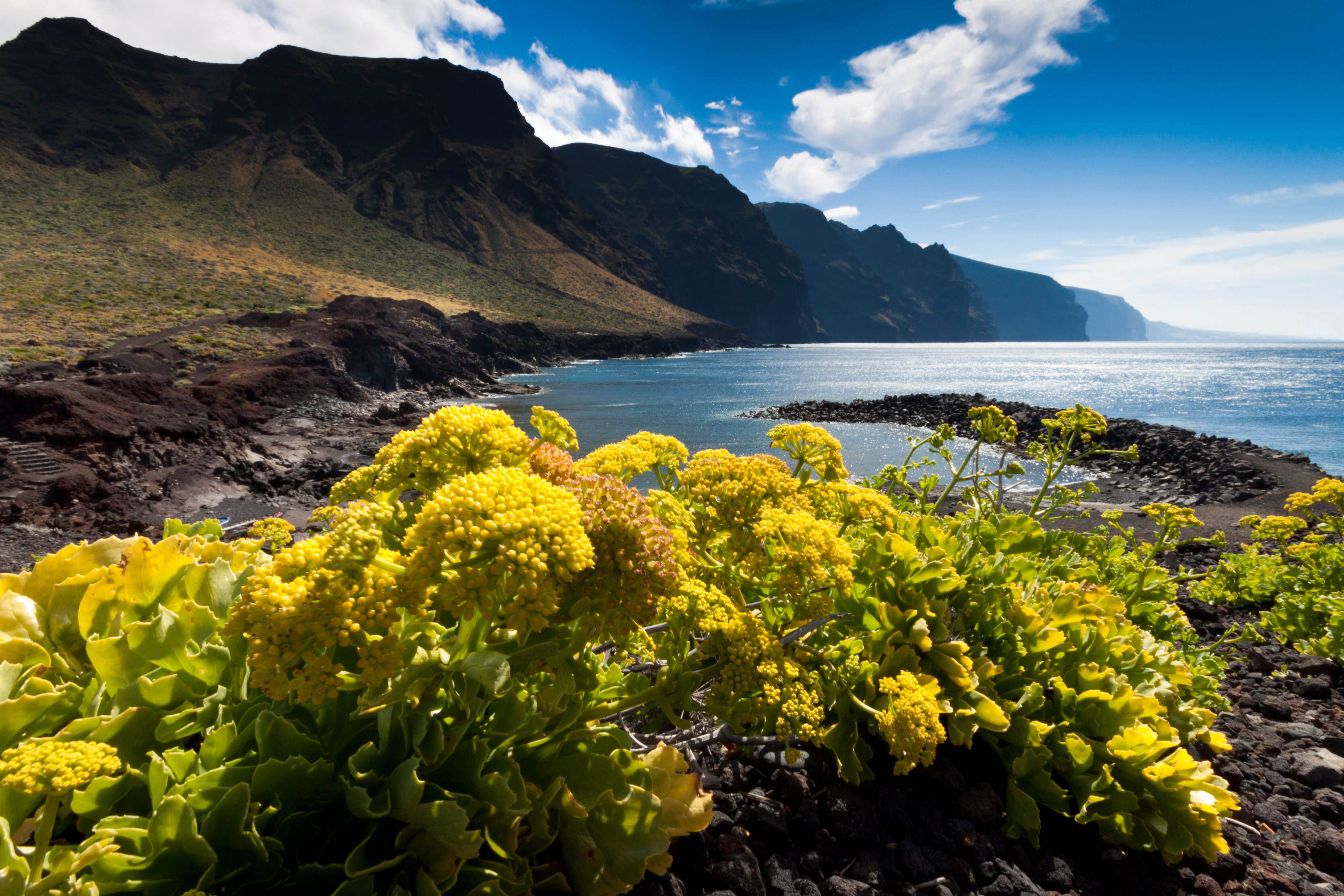 Arrivée à Tenerife 