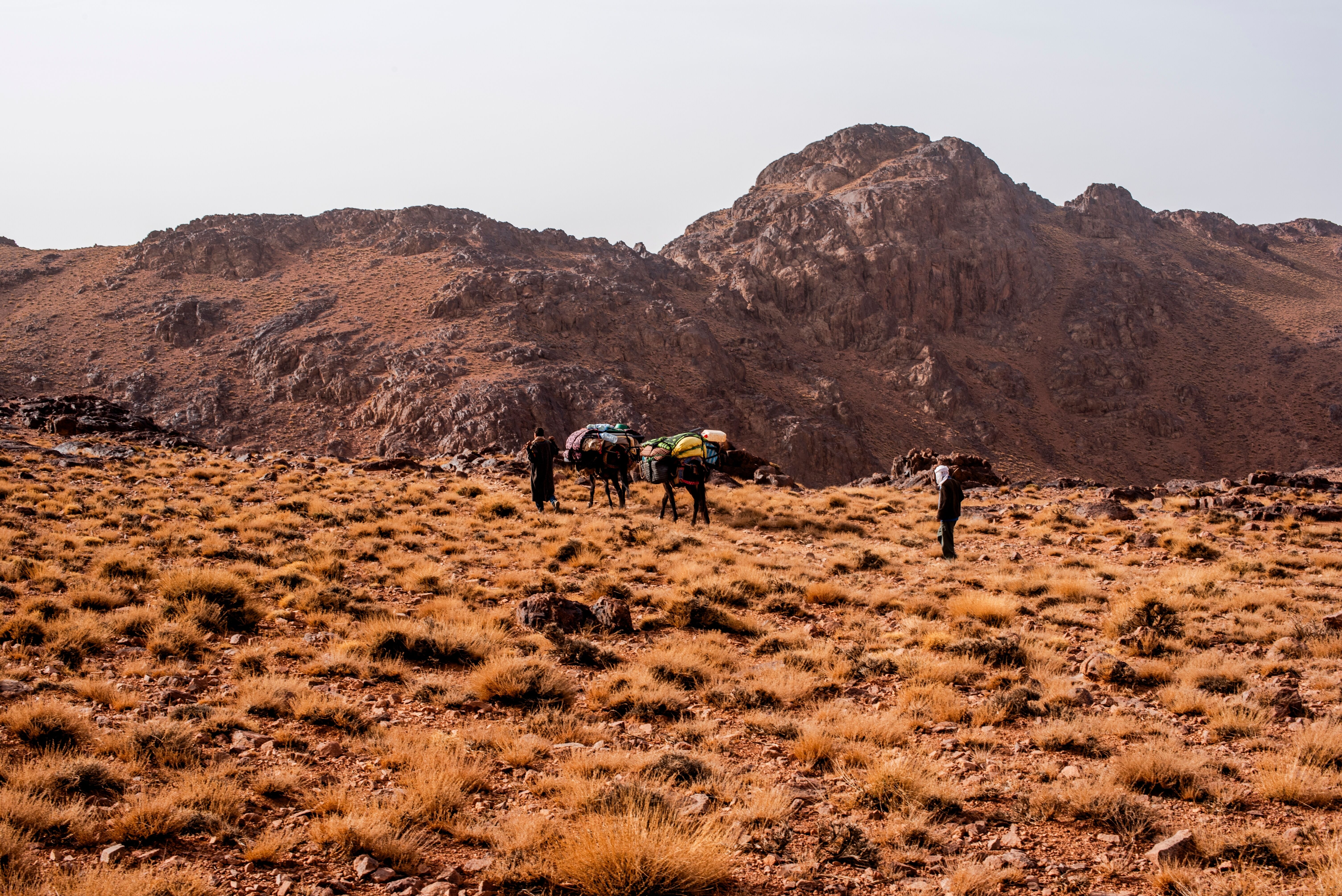 Azzaden - Tizi Oussem - Refuge de Tazaghart - Lepiney (3030m) 