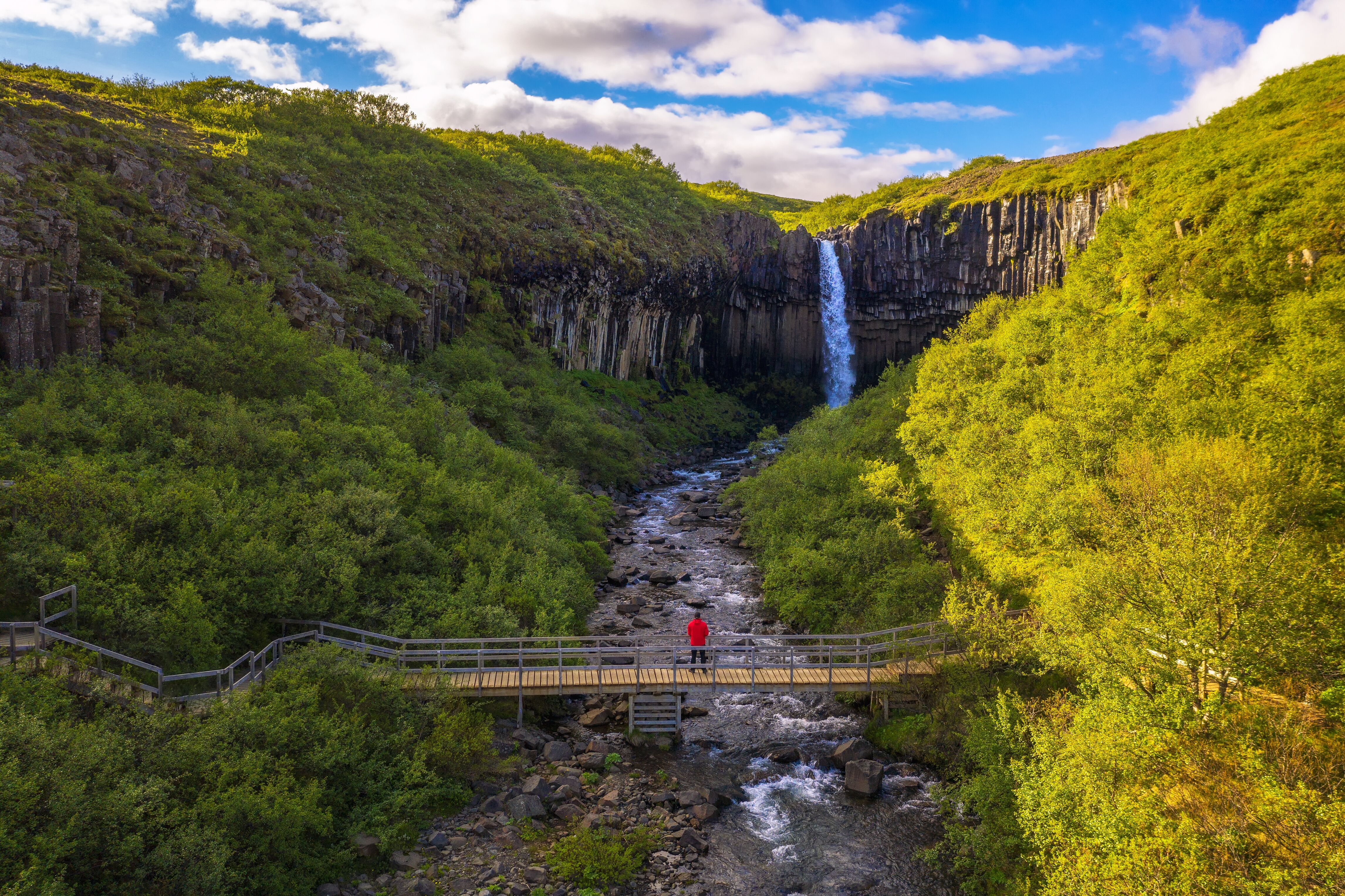 Skaftafell : la cascade de Svartifoss 