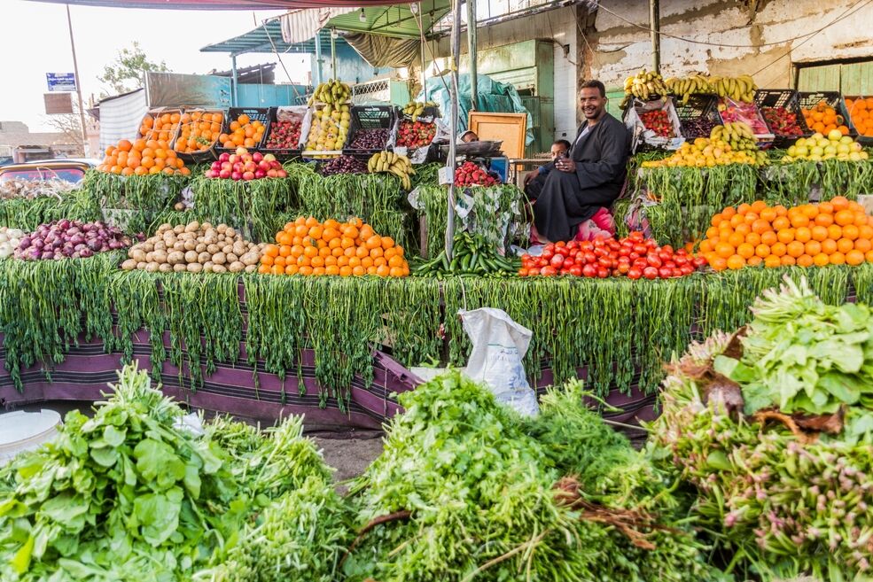 Marché de Daraw et Temple de Kom ombo 