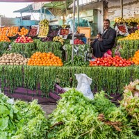 Marché de Daraw et Temple de Kom ombo