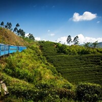 Kandy - Nanu Oya - Ella : train en mode slow life
